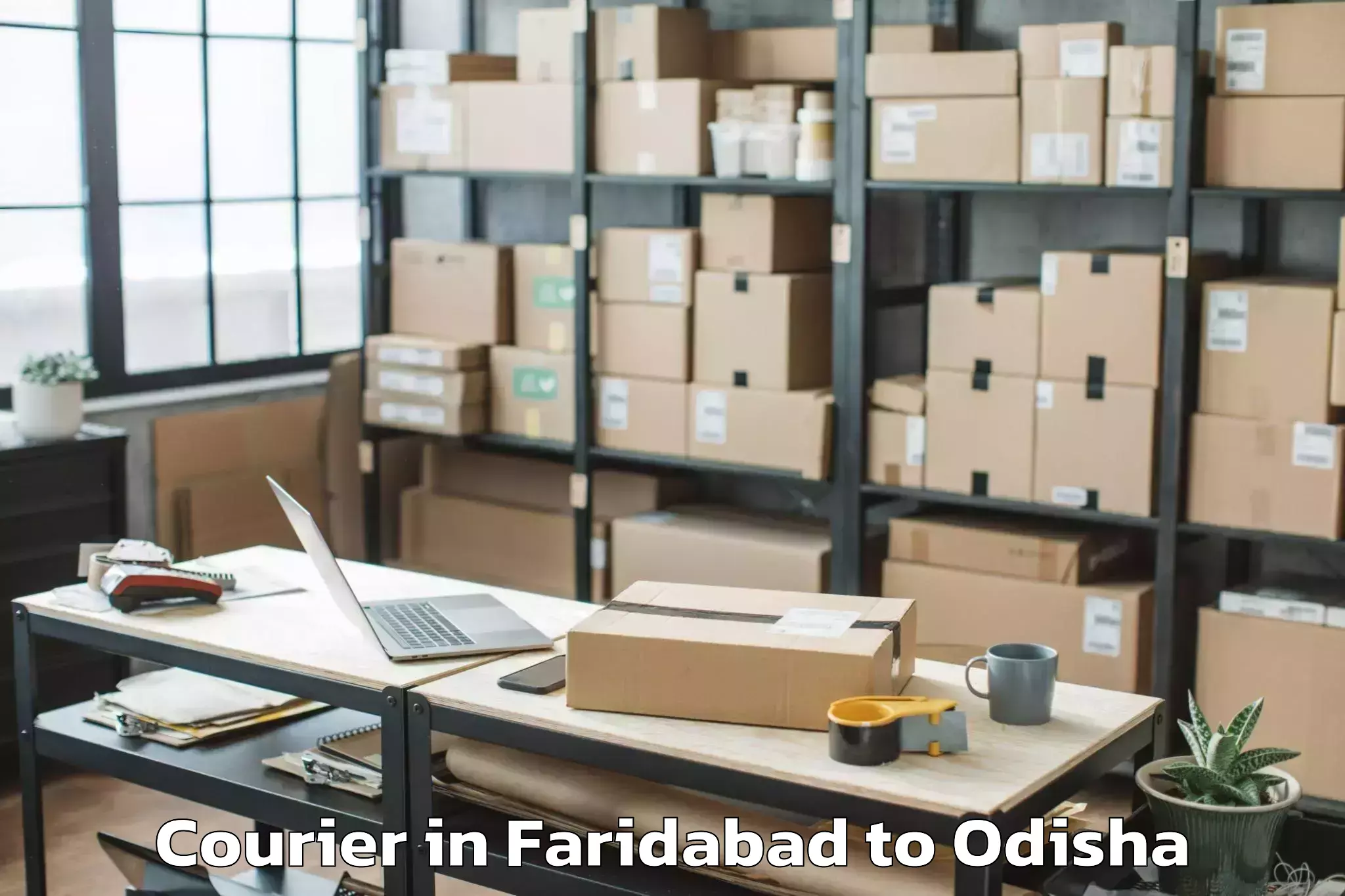 Hassle-Free Faridabad to Nuagaon Courier